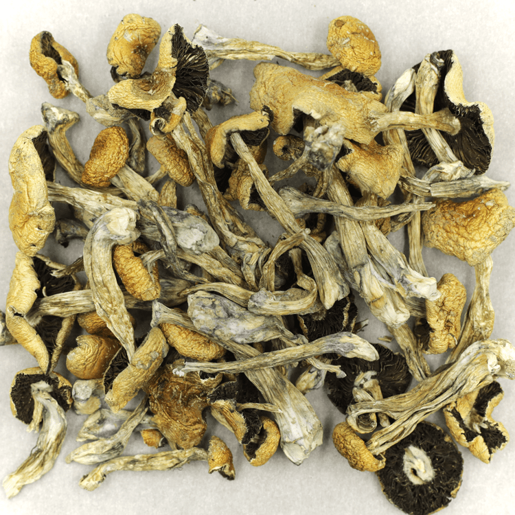 Puerto Rican | WeedSmart Canada Puerto Rican | WeedSmart Canada