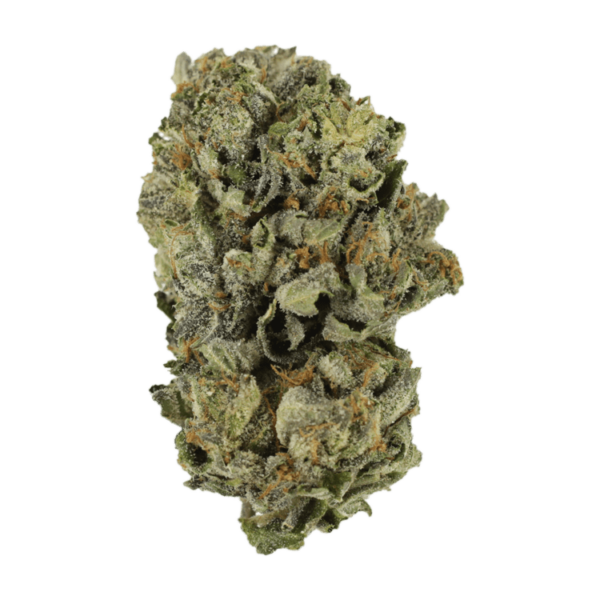 Cerebro Haze | WeedSmart Canada