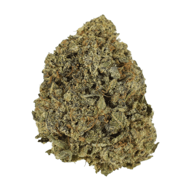 G13 | WeedSmart Canada