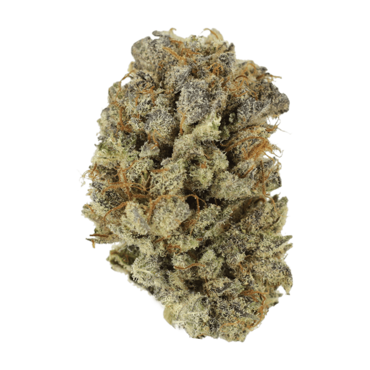 Mimosa Punch | WeedSmart Canada Mimosa Punch | WeedSmart Canada