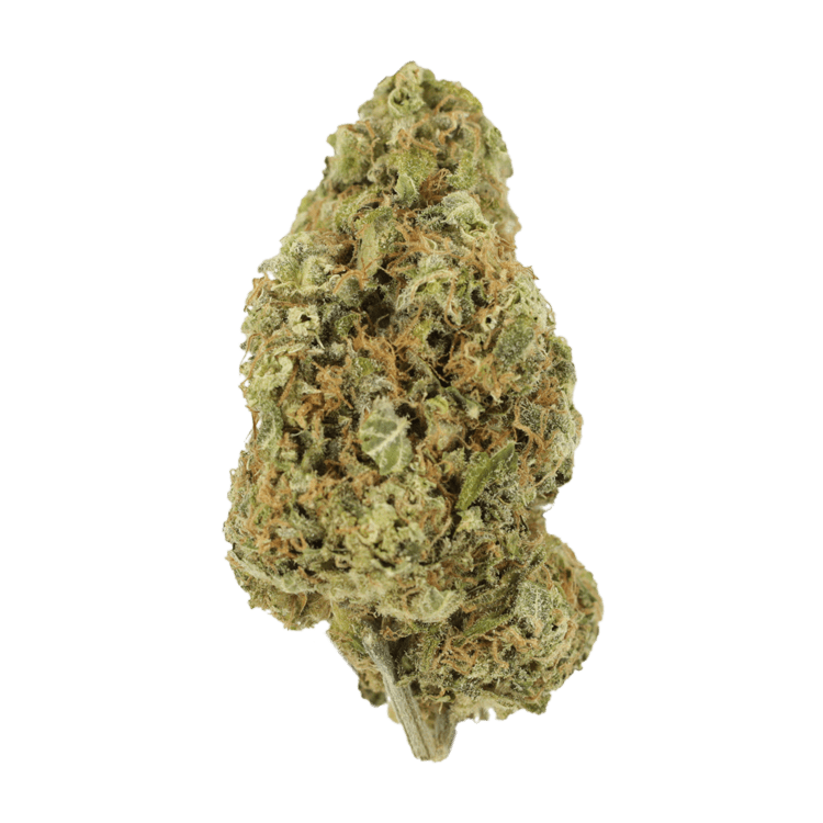 Sour Jack | WeedSmart Canada Sour Jack | WeedSmart Canada
