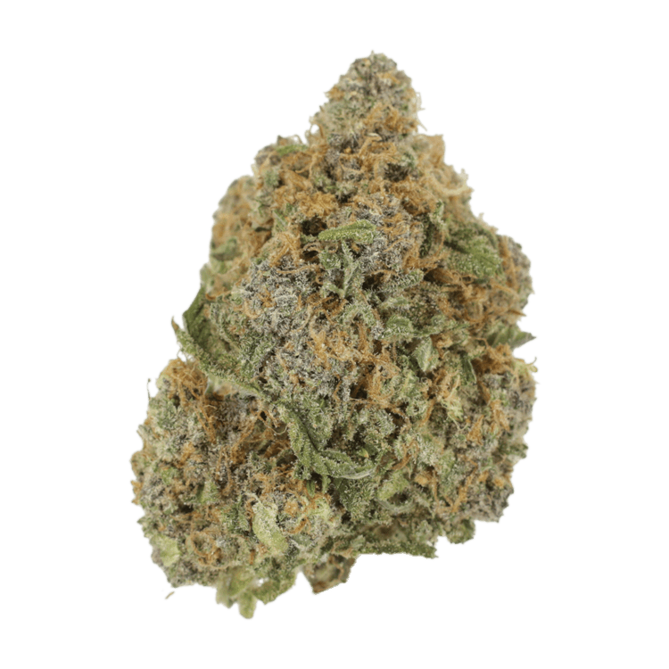 Jagermeister | WeedSmart Canada Jagermeister | WeedSmart Canada