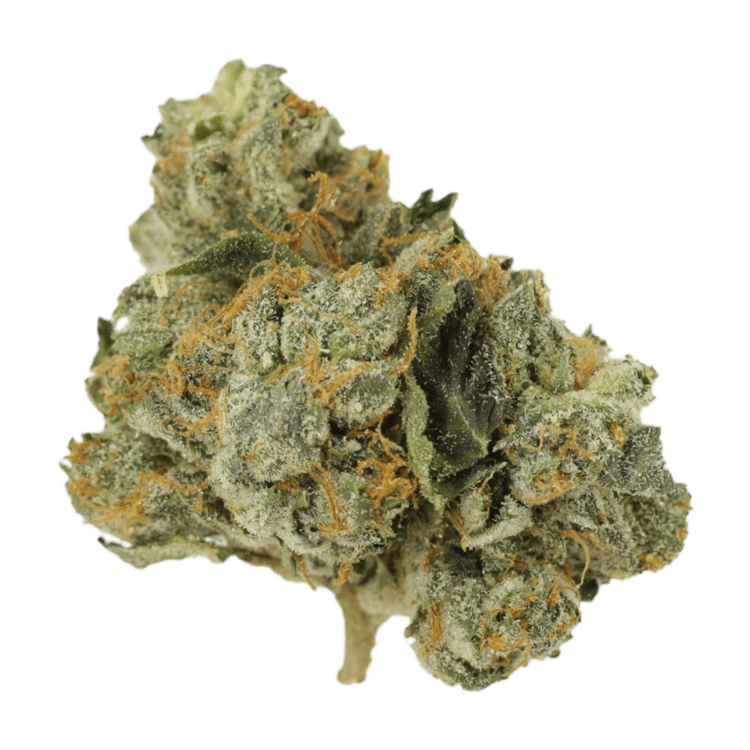 Mango Cream | WeedSmart Canada Mango Cream | WeedSmart Canada