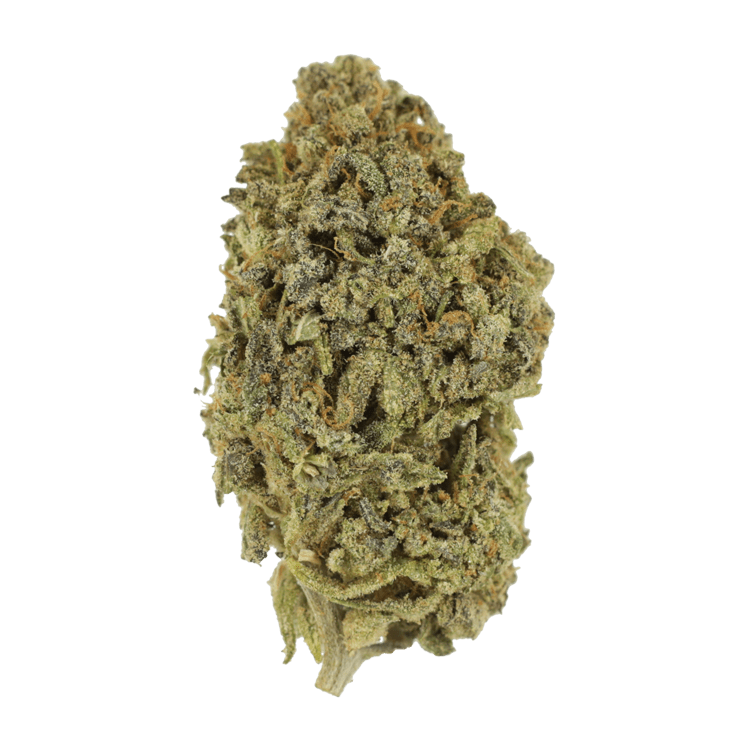 Watermelon Gelato | WeedSmart Canada