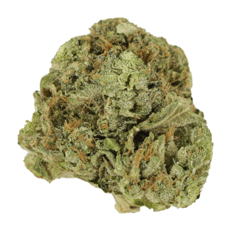 Mango Cream | WeedSmart Canada Mango Cream | WeedSmart Canada