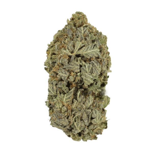 Purple Dream | WeedSmart Canada Purple Dream | WeedSmart Canada