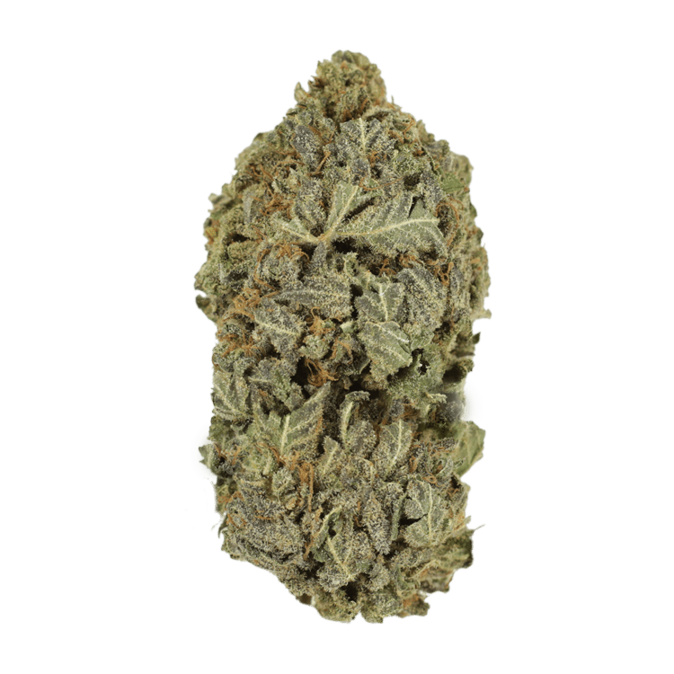 Purple Dream | WeedSmart Canada Purple Dream | WeedSmart Canada