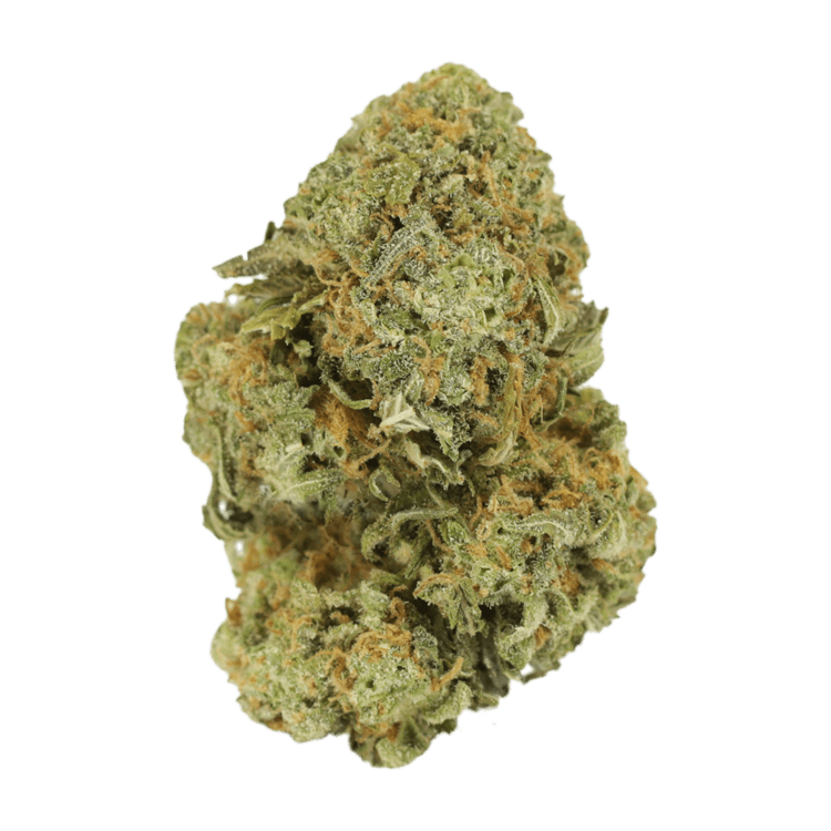 Watermelon Gelato | WeedSmart Canada