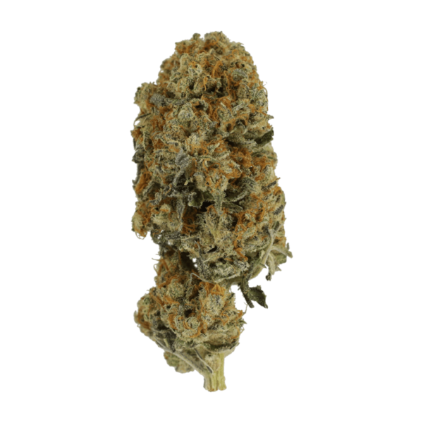 Jacks Girl | WeedSmart Canada