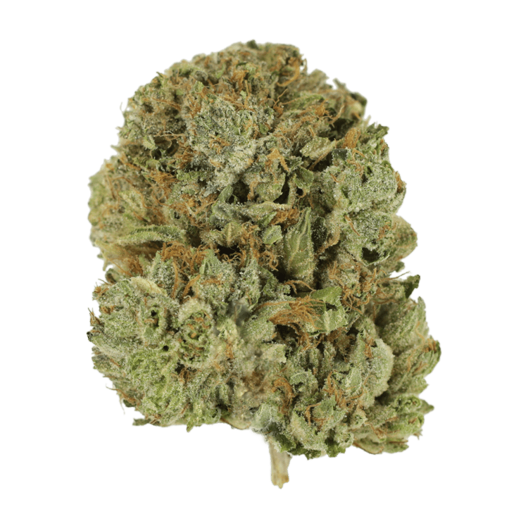 Pink Taco | WeedSmart Canada Pink Taco | WeedSmart Canada