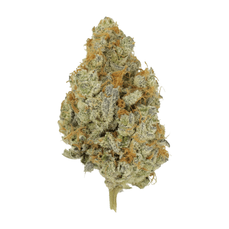 Peanut Butter Rockstar | WeedSmart Canada Peanut Butter Rockstar | WeedSmart Canada