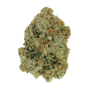 Jack Herer (popcorn) | WeedSmart Canada