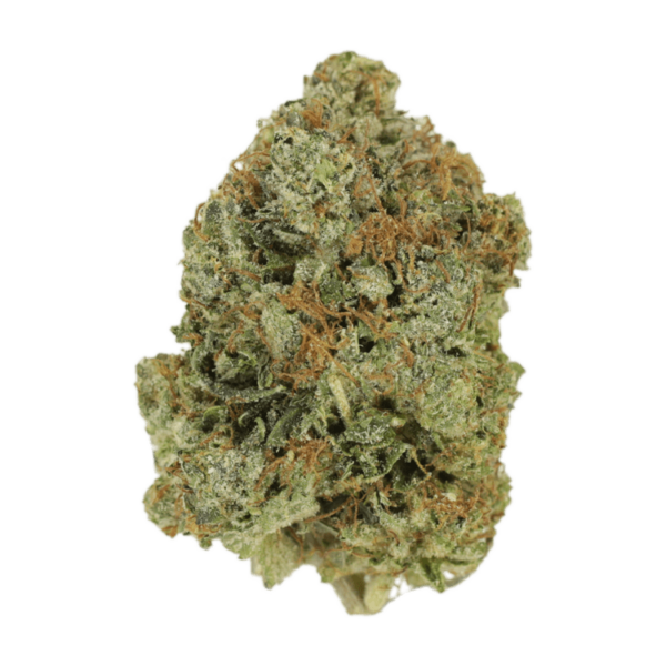 Jack Herer (popcorn) | WeedSmart Canada