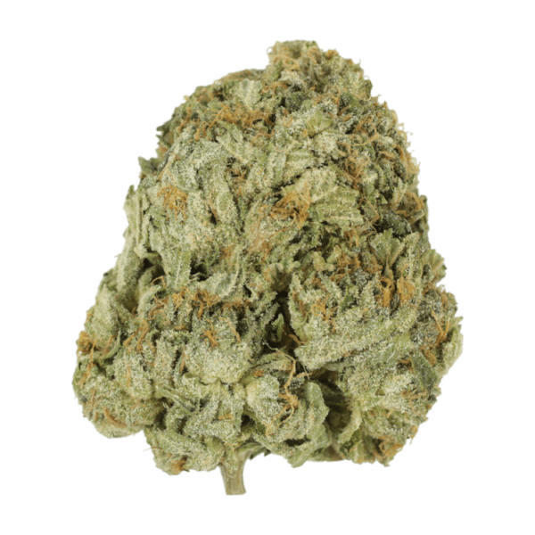 Godzilla Glue | WeedSmart Canada