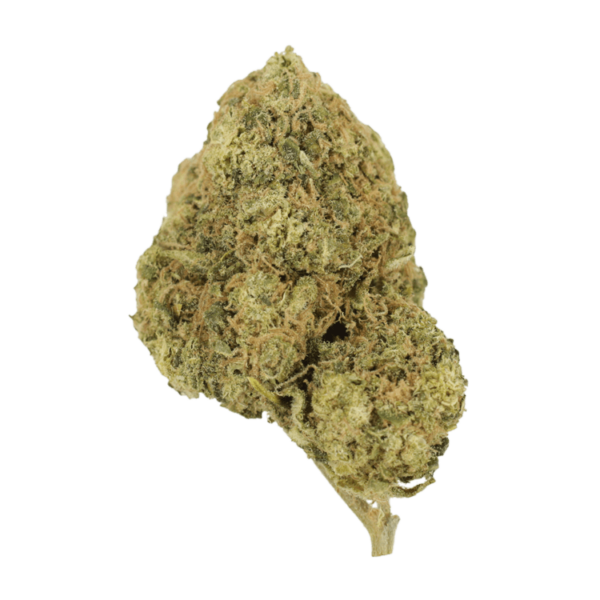 Laughing Buddha | WeedSmart Canada