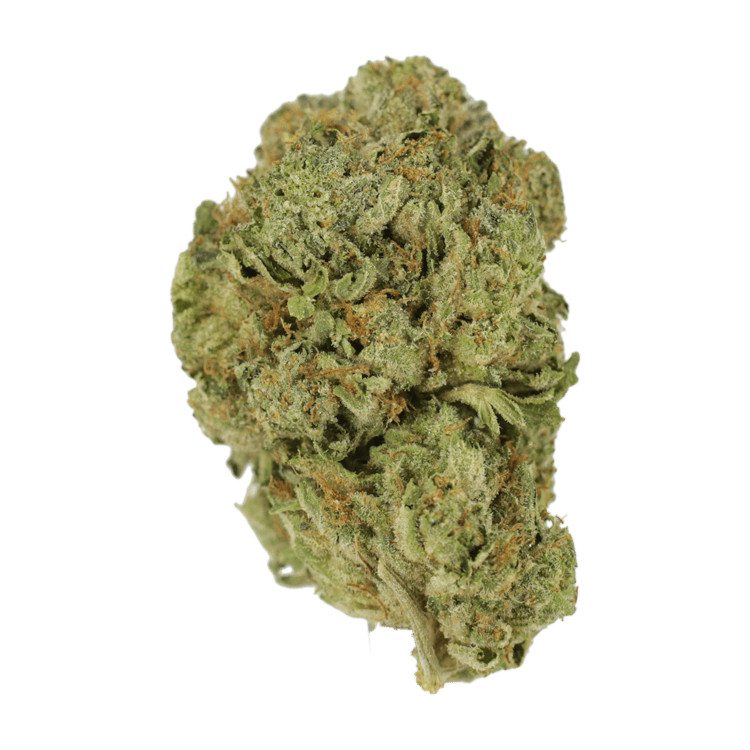 Super Blue Dream | WeedSmart Canada