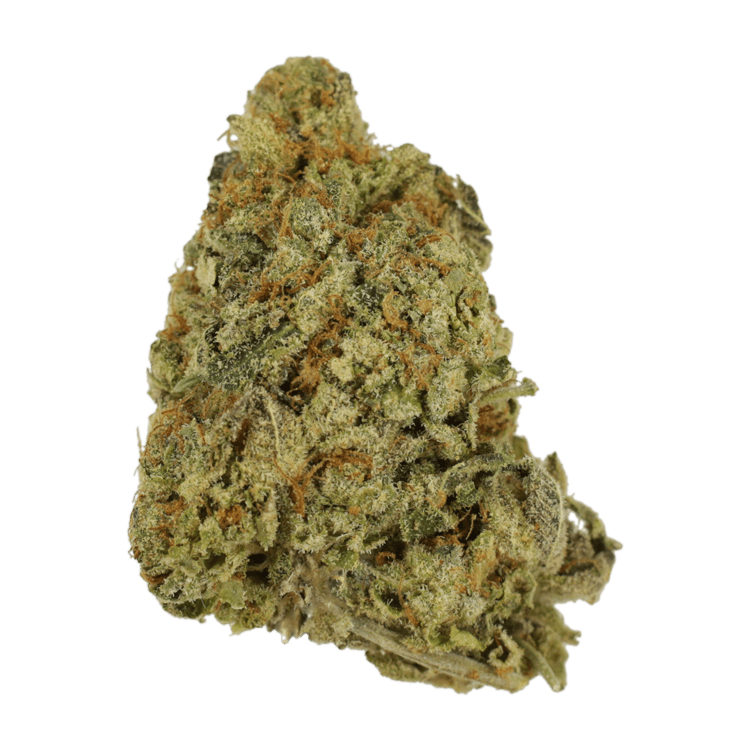 G Whiz | WeedSmart Canada G Whiz | WeedSmart Canada