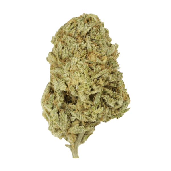 Face Mints | WeedSmart Canada