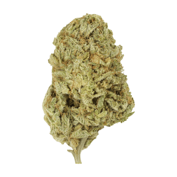 Face Mints | WeedSmart Canada