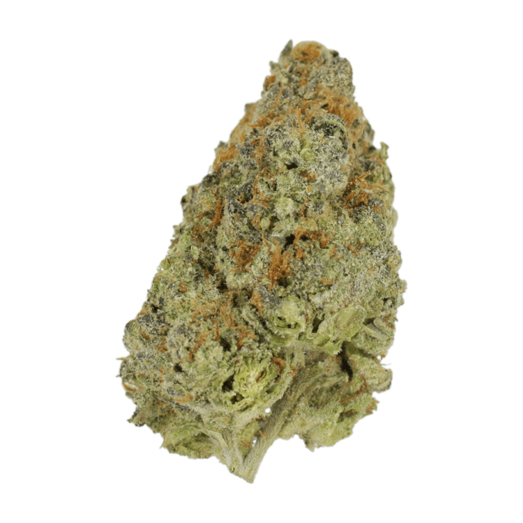 Lilac Diesel | WeedSmart Canada