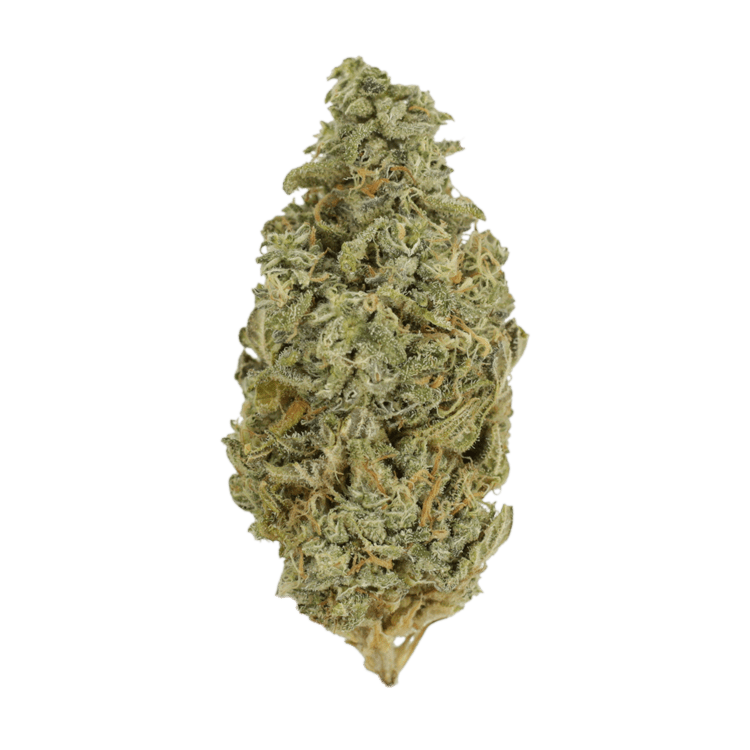 Orange Cookies | WeedSmart Canada