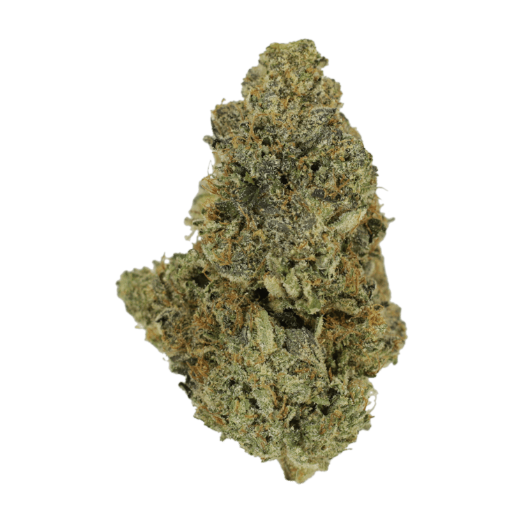 Purple Urkle | WeedSmart Canada