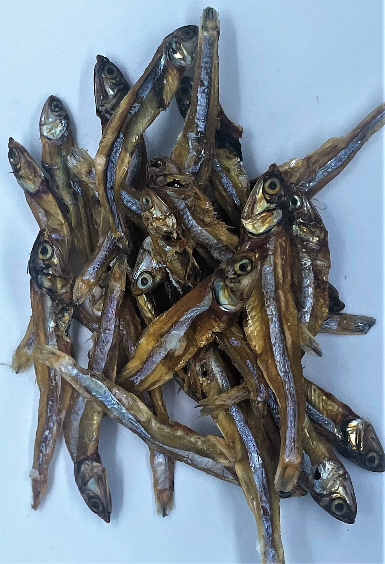 Biggie Bites – Sardines- 100mg CBD | WeedSmart Canada