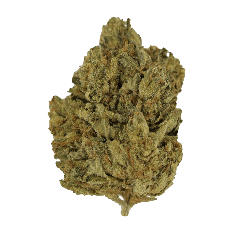 Blackwater | WeedSmart Canada