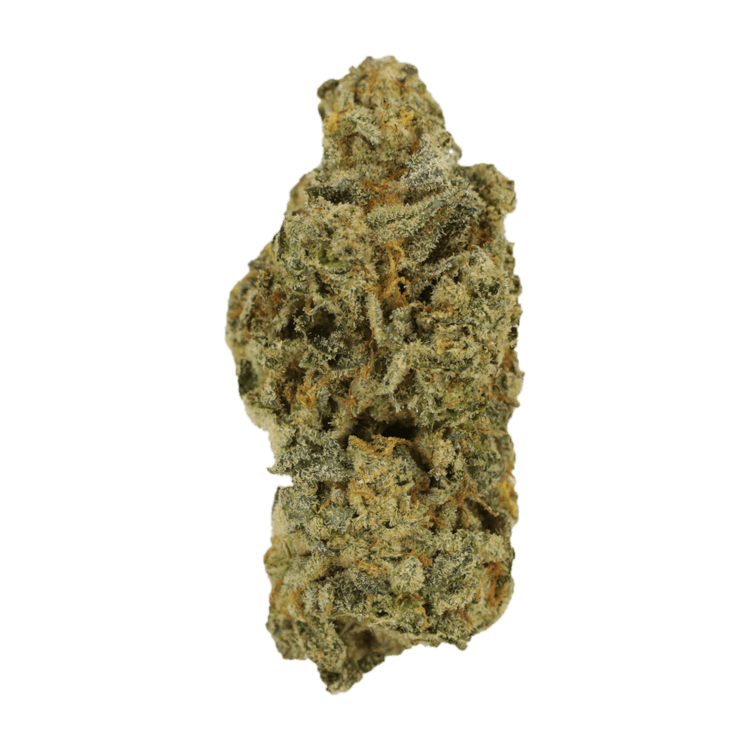 Cinderella 99 | WeedSmart Canada Cinderella 99 | WeedSmart Canada