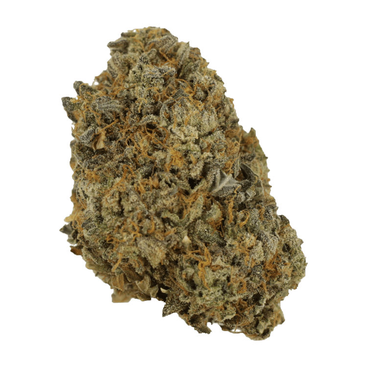 Sherb Quake | WeedSmart Canada