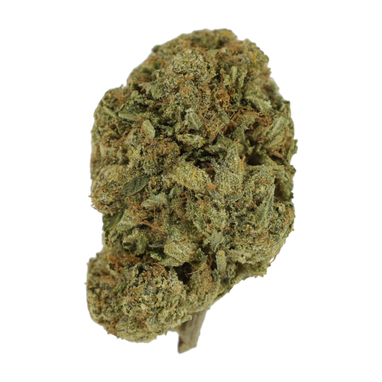 Grape Ape (AAA) | WeedSmart Canada Grape Ape (AAA) | WeedSmart Canada
