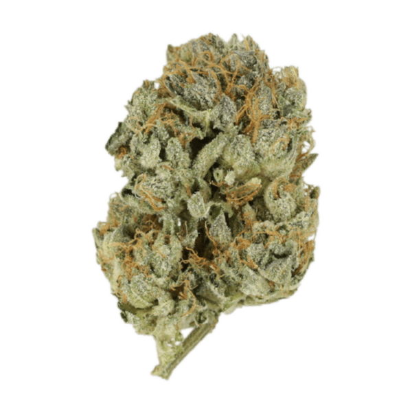 Kashmir Kush | WeedSmart Canada