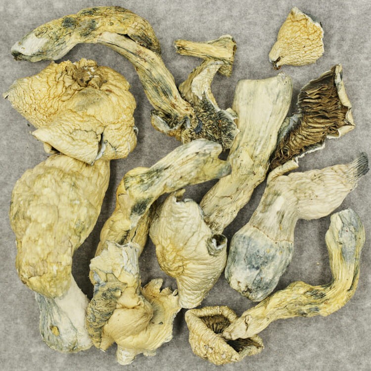 White Burma | WeedSmart Canada