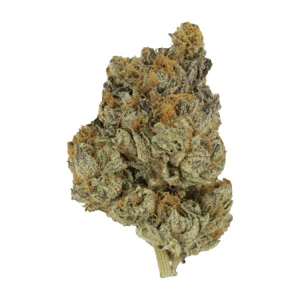 Divorce Cake | WeedSmart Canada