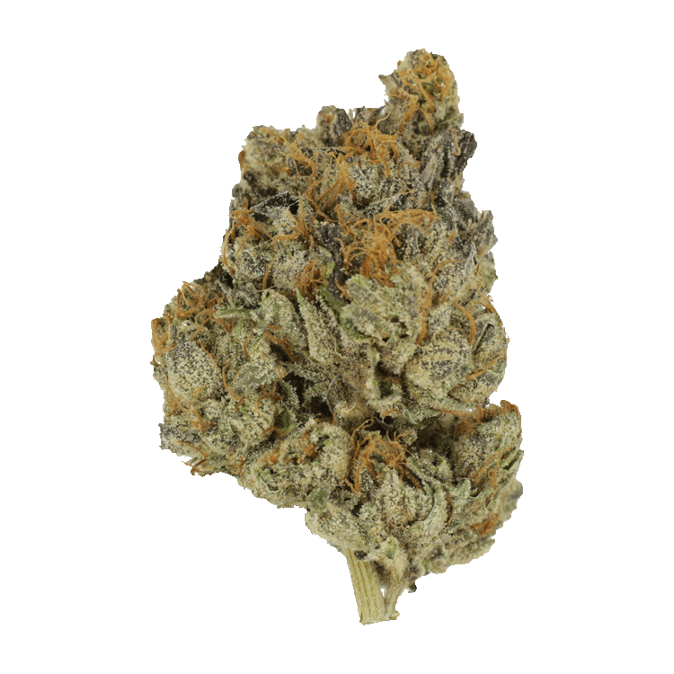 Divorce Cake | WeedSmart Canada