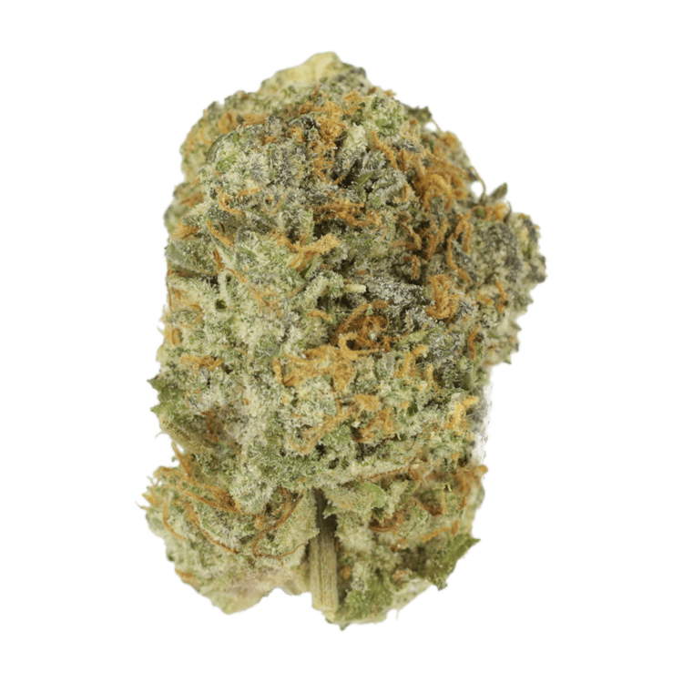 Lava Cake – 1oz / $45 | WeedSmart Canada