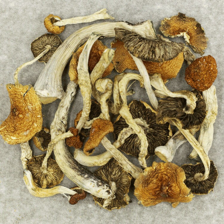 Big Daddy | WeedSmart Canada Big Daddy | WeedSmart Canada