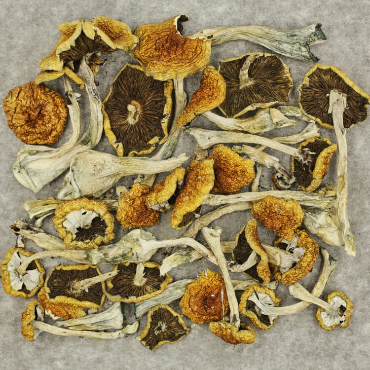 Tanam Negara | WeedSmart Canada Tanam Negara | WeedSmart Canada