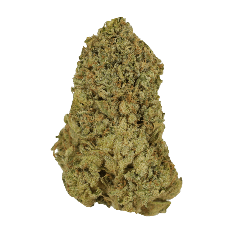 El Chapo | WeedSmart Canada