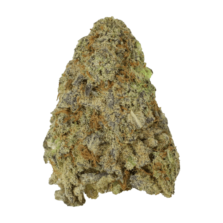 Himalayan Blackberry – 1oz / $50 | WeedSmart Canada Himalayan Blackberry – 1oz / $50 | WeedSmart Canada