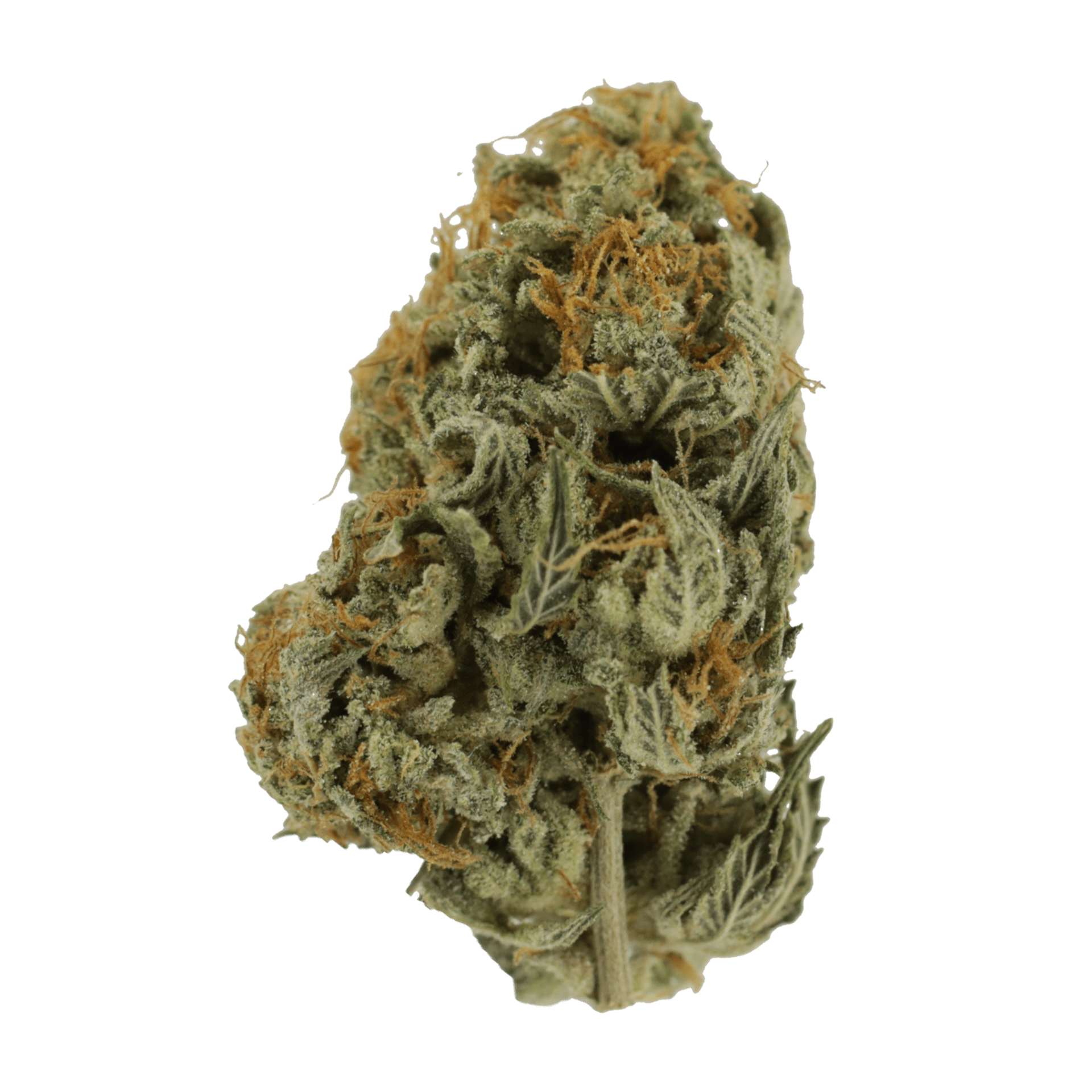 Moonrocks Flower | WeedSmart Canada Moonrocks Flower | WeedSmart Canada