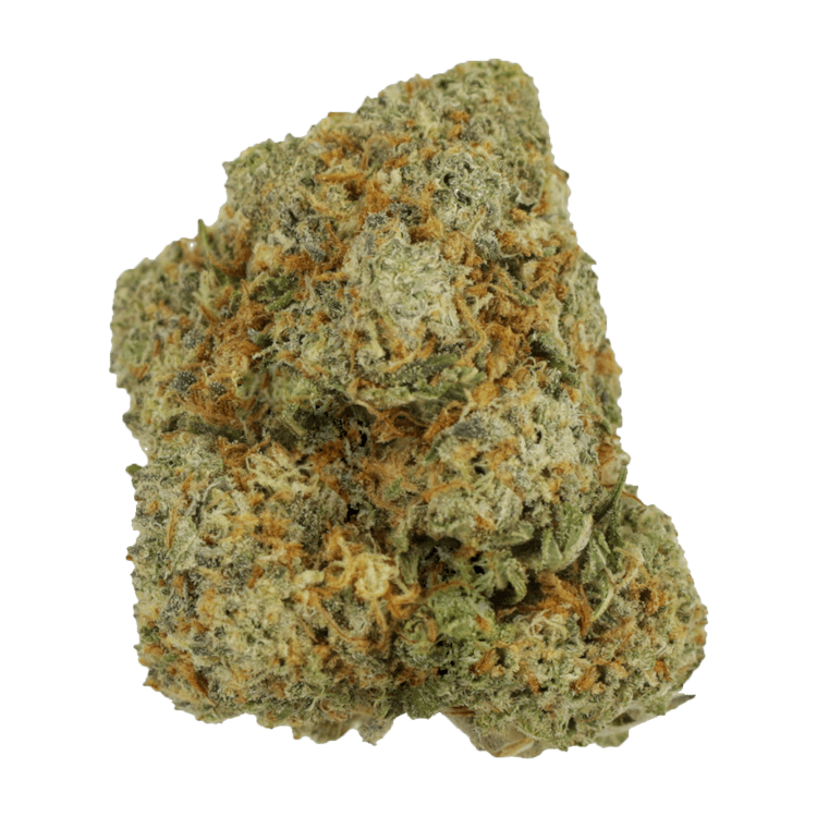 Royal Gorilla | WeedSmart Canada