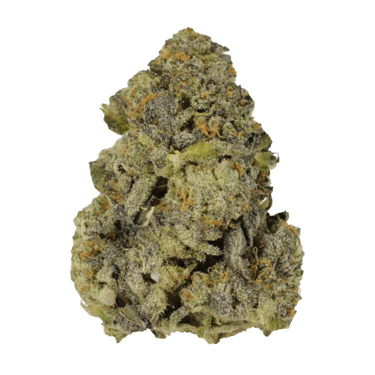 Purple Widow | WeedSmart Canada Purple Widow | WeedSmart Canada