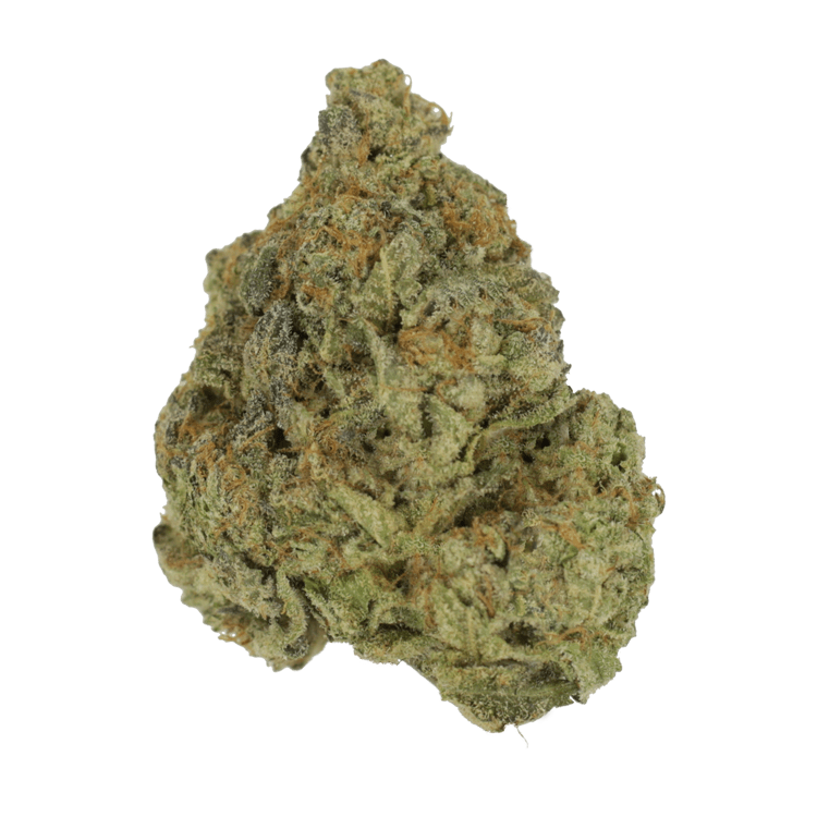 Black Biscotti | WeedSmart Canada