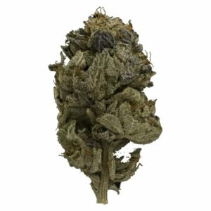 WeedSmart Canada - Pink Gas Strain | WeedSmart Canada