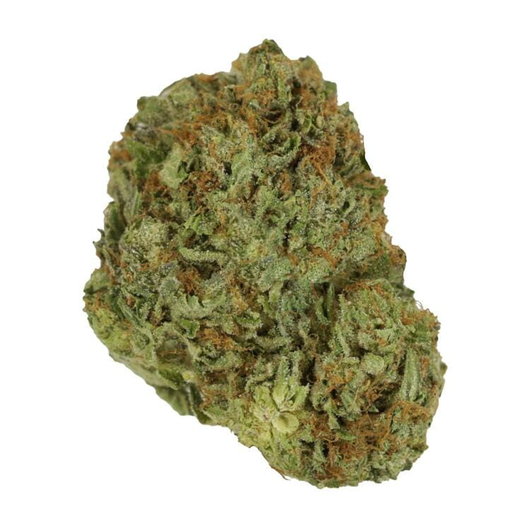 Blue Fin Tuna | WeedSmart Canada