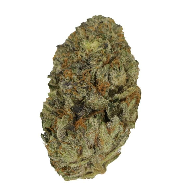 Snoop Dogg OG | WeedSmart Canada Snoop Dogg OG | WeedSmart Canada