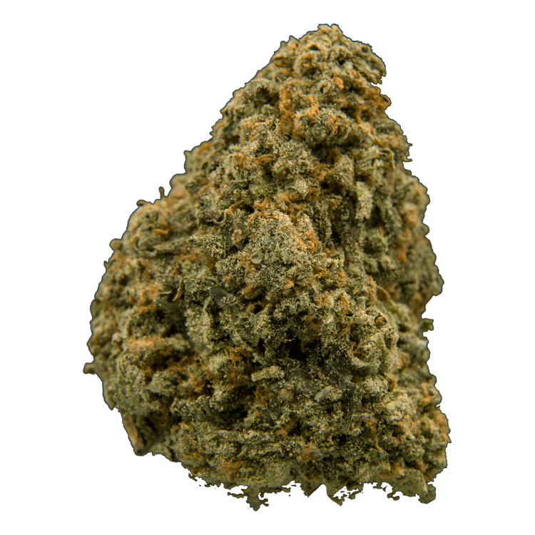 Strawberry Guava | WeedSmart Canada