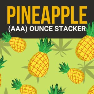 Pineapple 1 OZ Kit | WeedSmart Canada